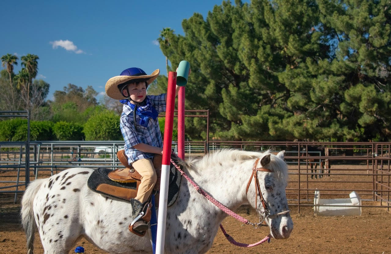 Jordan Stables — life at the barn
