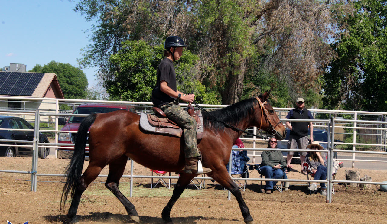 Jordan Stables — life at the barn