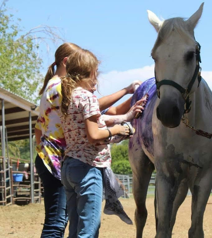 Jordan Stables — life at the barn